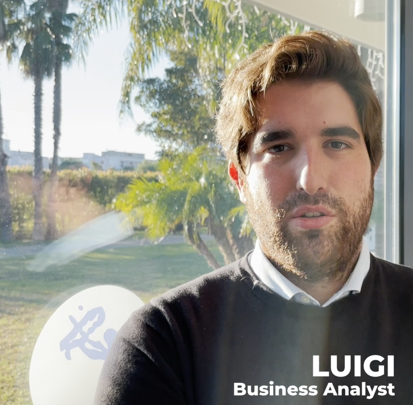 Luigi Minonne - Business Analyst